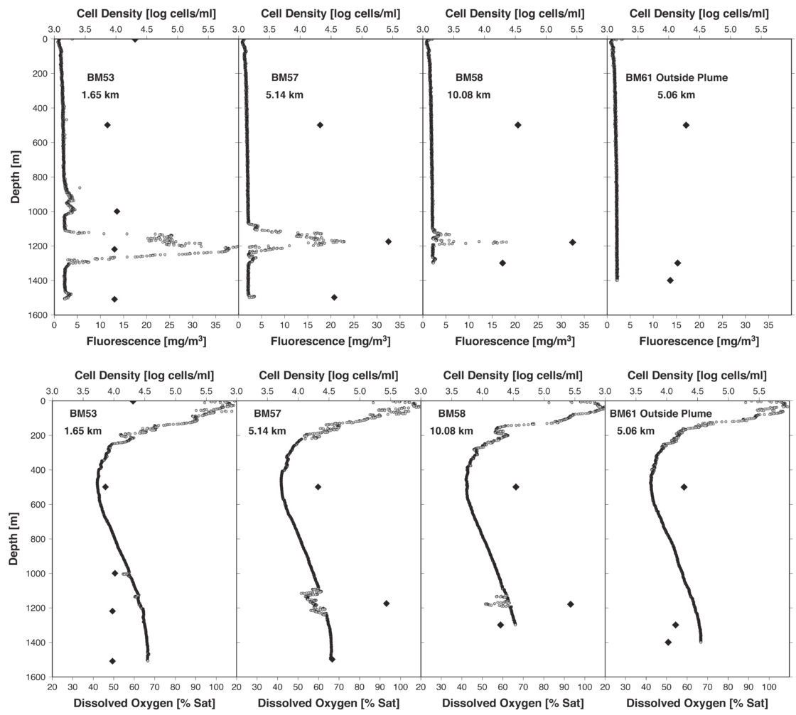 Molecular Measurements of the DeepSea Oil Plume in the Gulf of Mexico