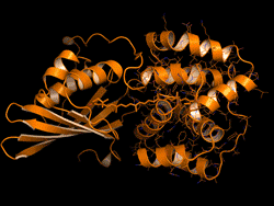 Animated gif showing changes in ribbon-diagram molecular structures.