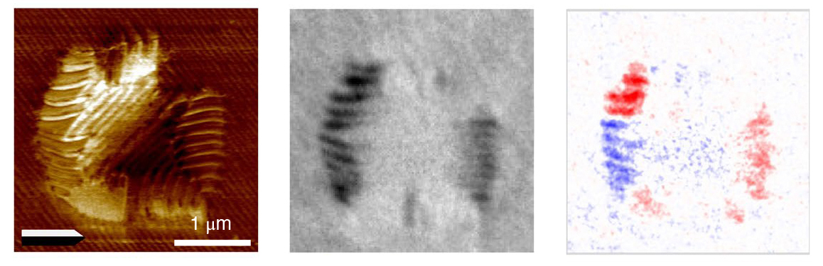 Three images showing correlation between PFM, PEEM with linear dichroism, and PEEM with circular dichroism.