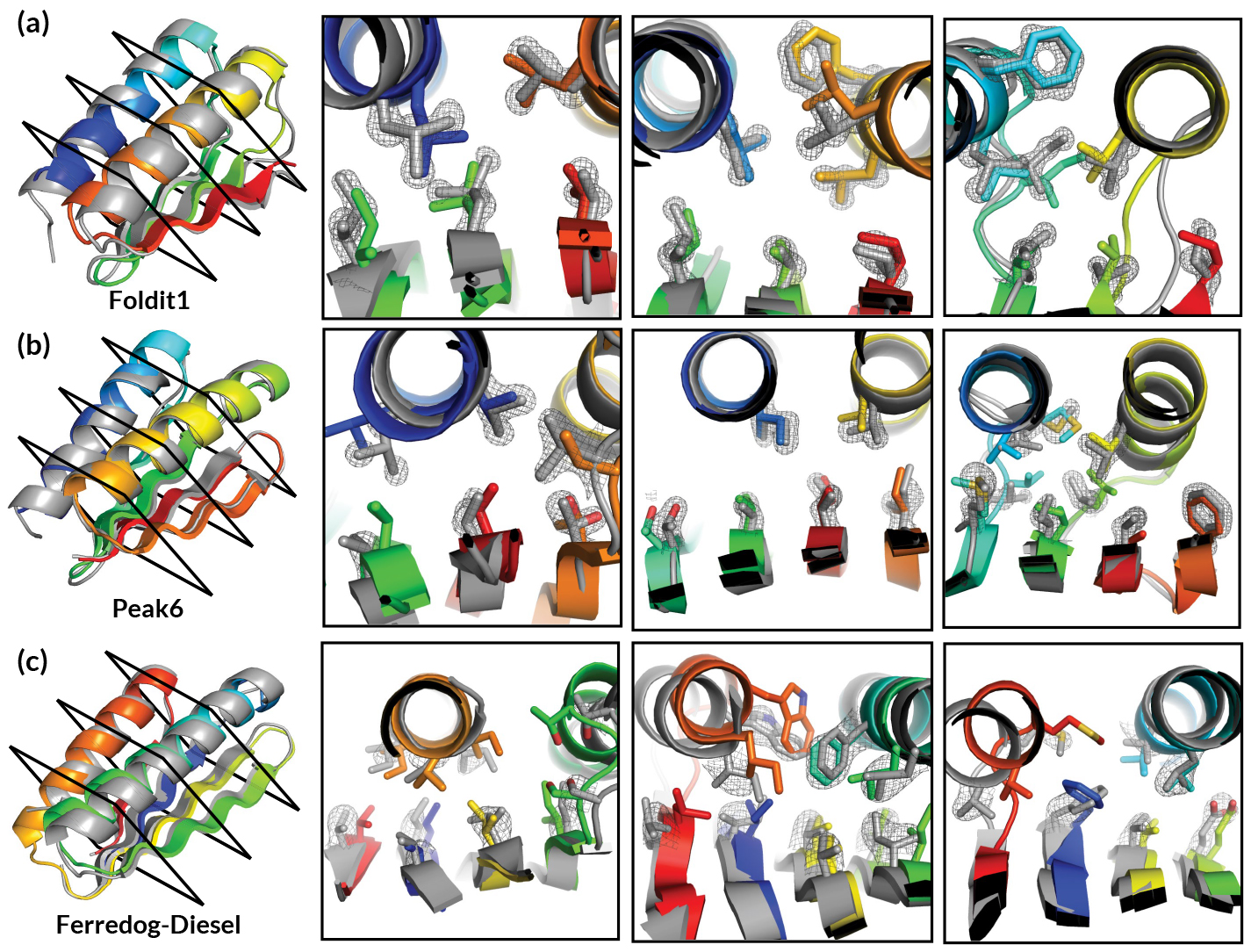 Ribbon-diagram comparisons for three Foldit protein designs.