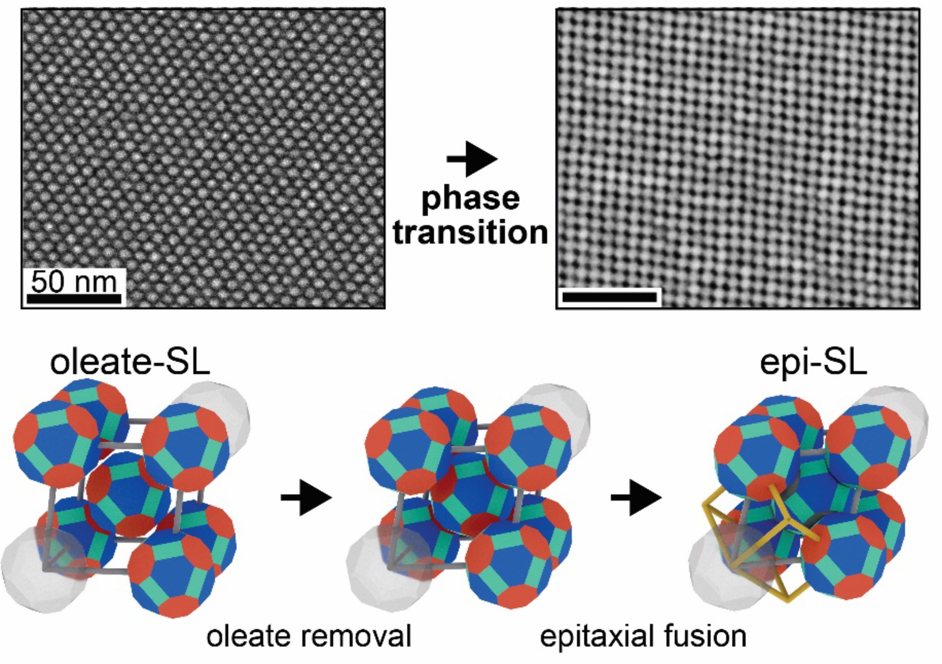 Top: Electron microscopy images before and after the transition. Bottom: Drawings depicting fusion of quantum dots.