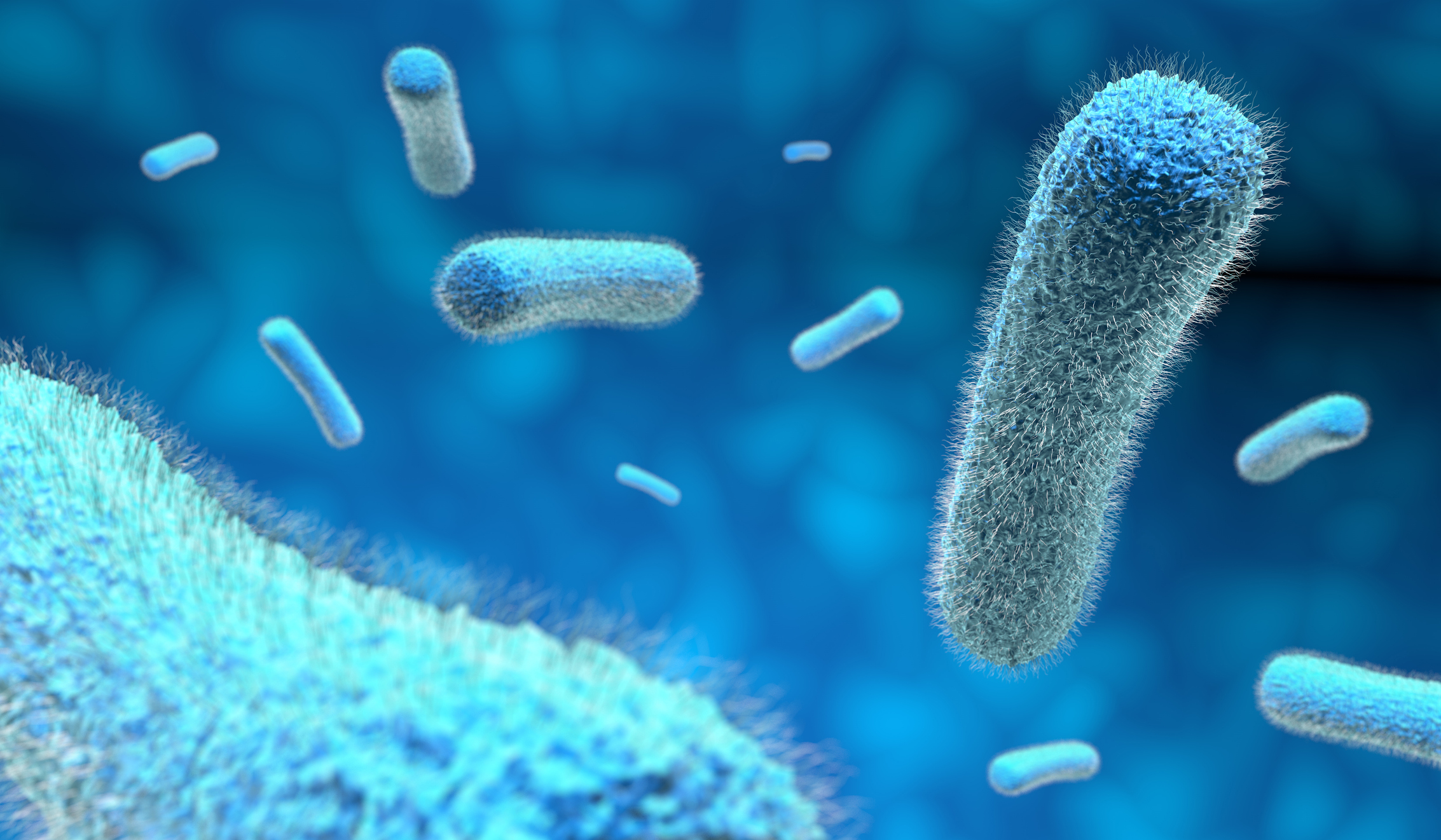 3D illustration of rod-shaped bacteria on a blue background.