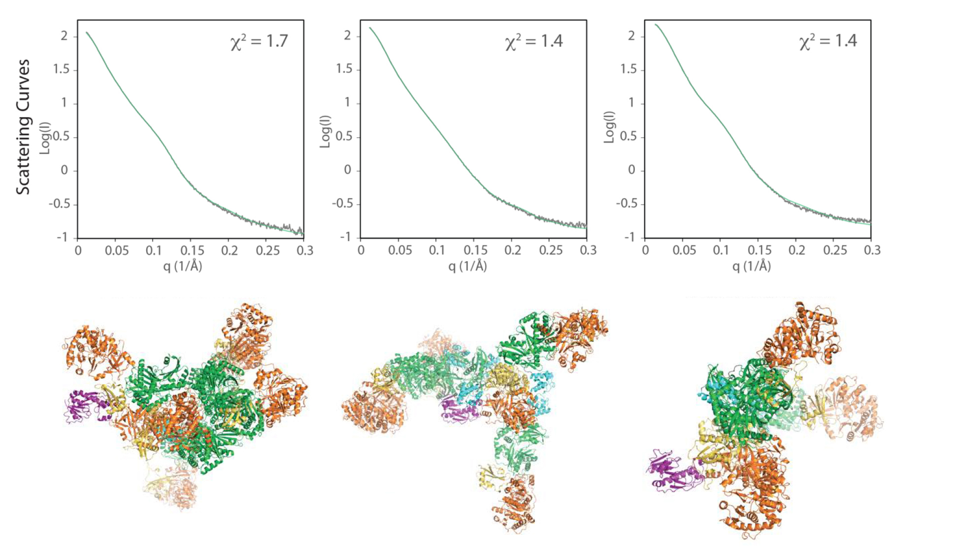 <416reimer2-alt> Top row: Three line graphs showing theoretical curves in green superimposed on closely matching experimental plots in black. Bottom row: Three similarly multicolored ribbon diagrams with very different shapes.