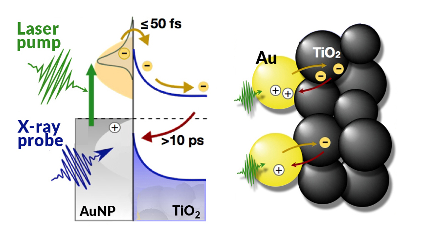 risiko Vis stedet attribut A Probe of Light-Harvesting Efficiency at the Nanoscale