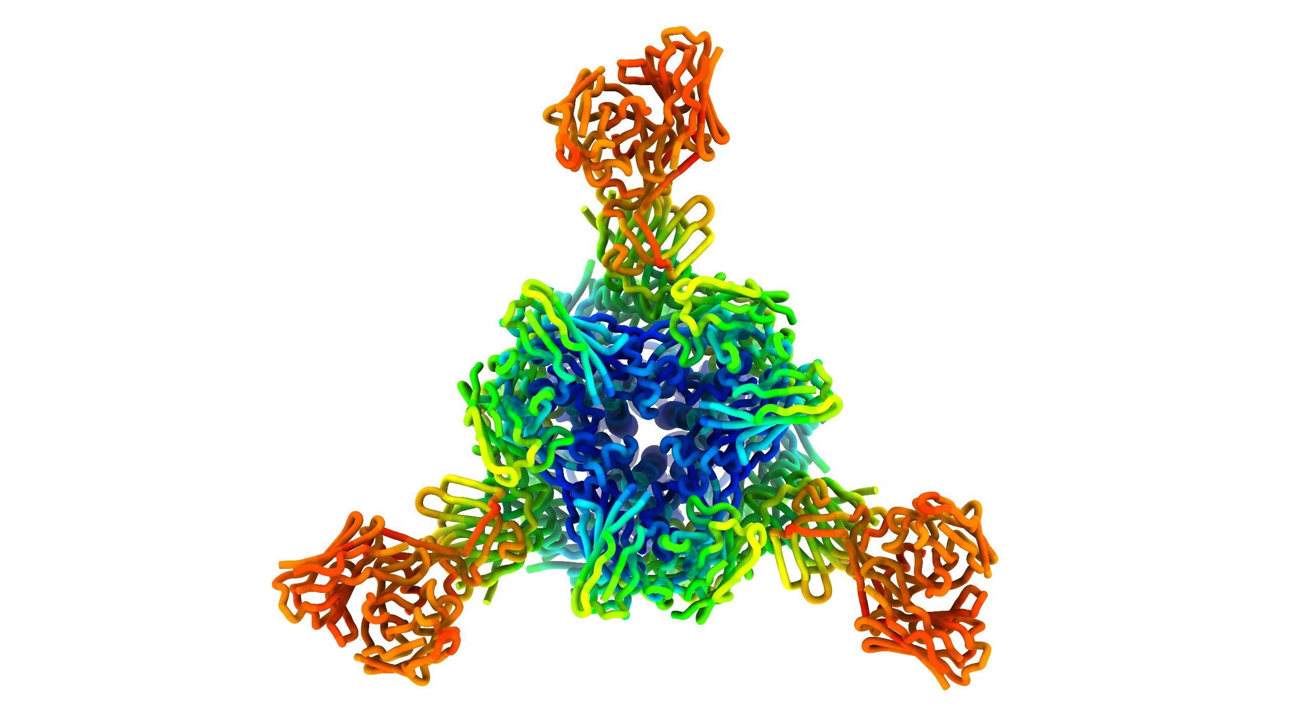 3D ribbon diagram of antibodies bound to the spike protein trimer.