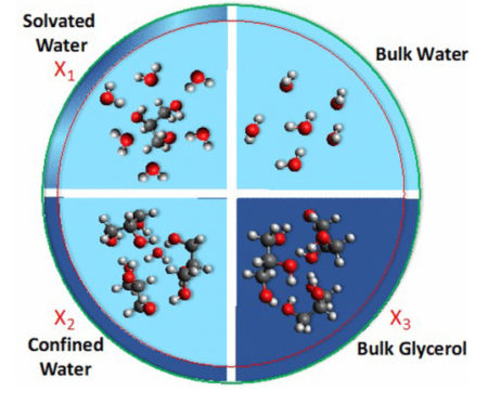 Circle with four quadrants labeled counterclockwise from upper right: Bulk Water, Solvated Water, Confined Water, Bulk Glycerol.