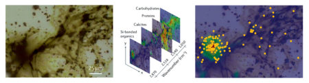 Microscopic sample image, stacked images of multidimensional data, and gpCAM sampling strategy.