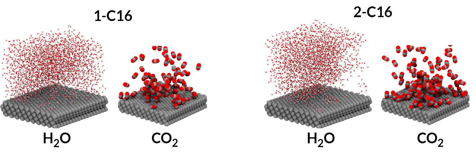 Distribution of water and carbon dioxide molecules over silver for 1-C16 and 2-C16.