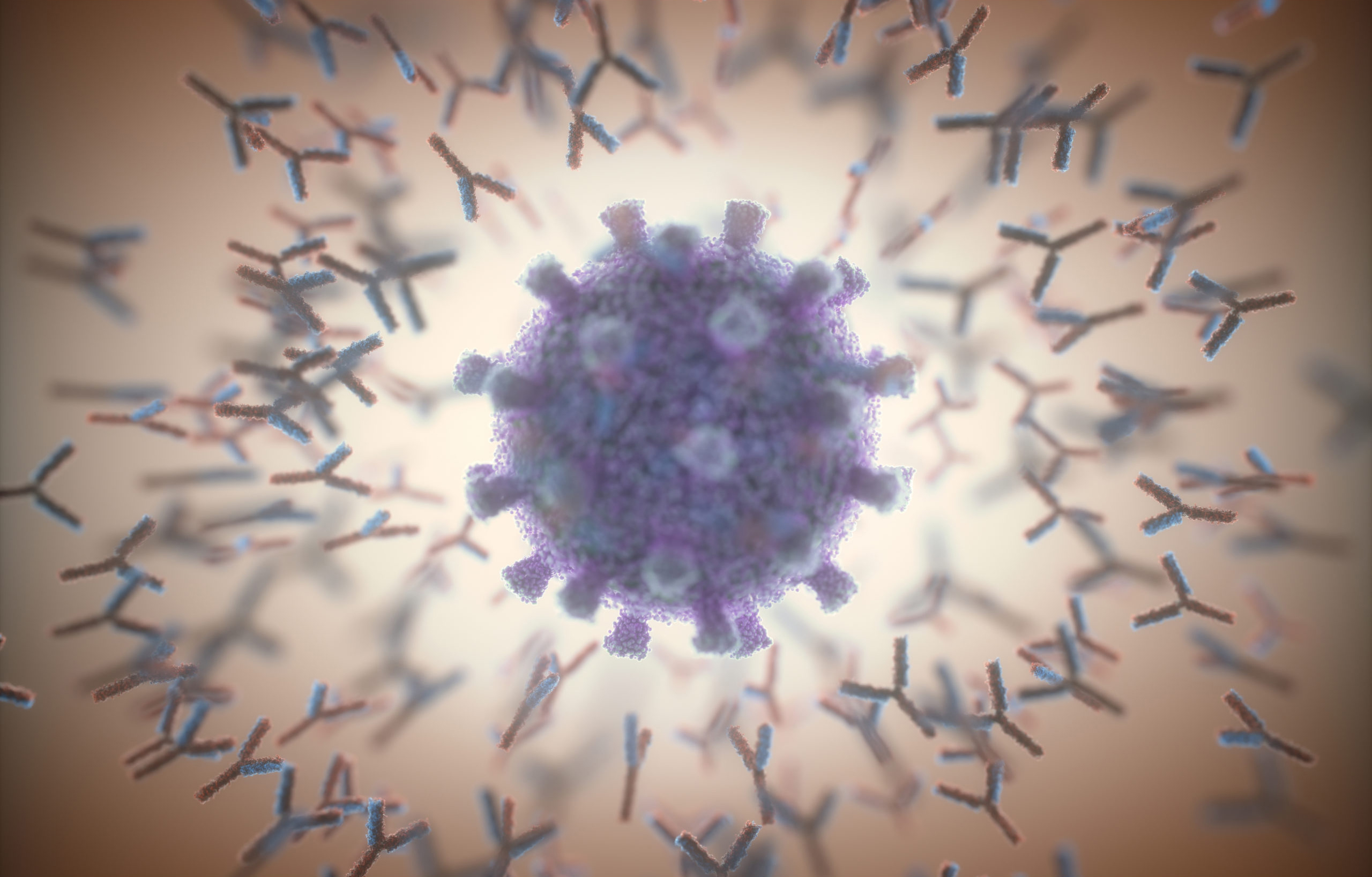 Purple coronavirus at center surrounded by numerous Y-shaped antibodies.