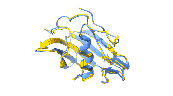 An animated gif image of a rotating ribbon diagram depicting two closely overlapping protein structures.