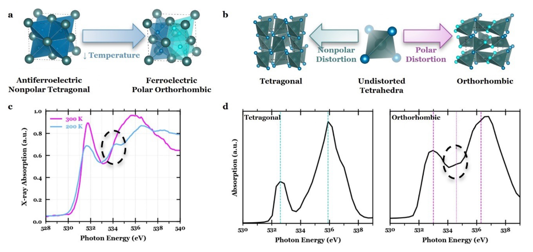 (a-b) Ball-and-stick representations antiferroelectric and ferroelectric structures. (c-d) Three XAS spectra with dotted oval highlighting the signature of the ferroelectric phase.