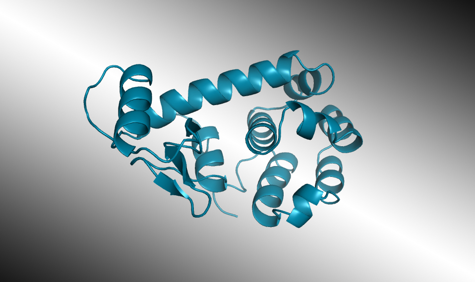Ribbon diagram of a protein structure.
