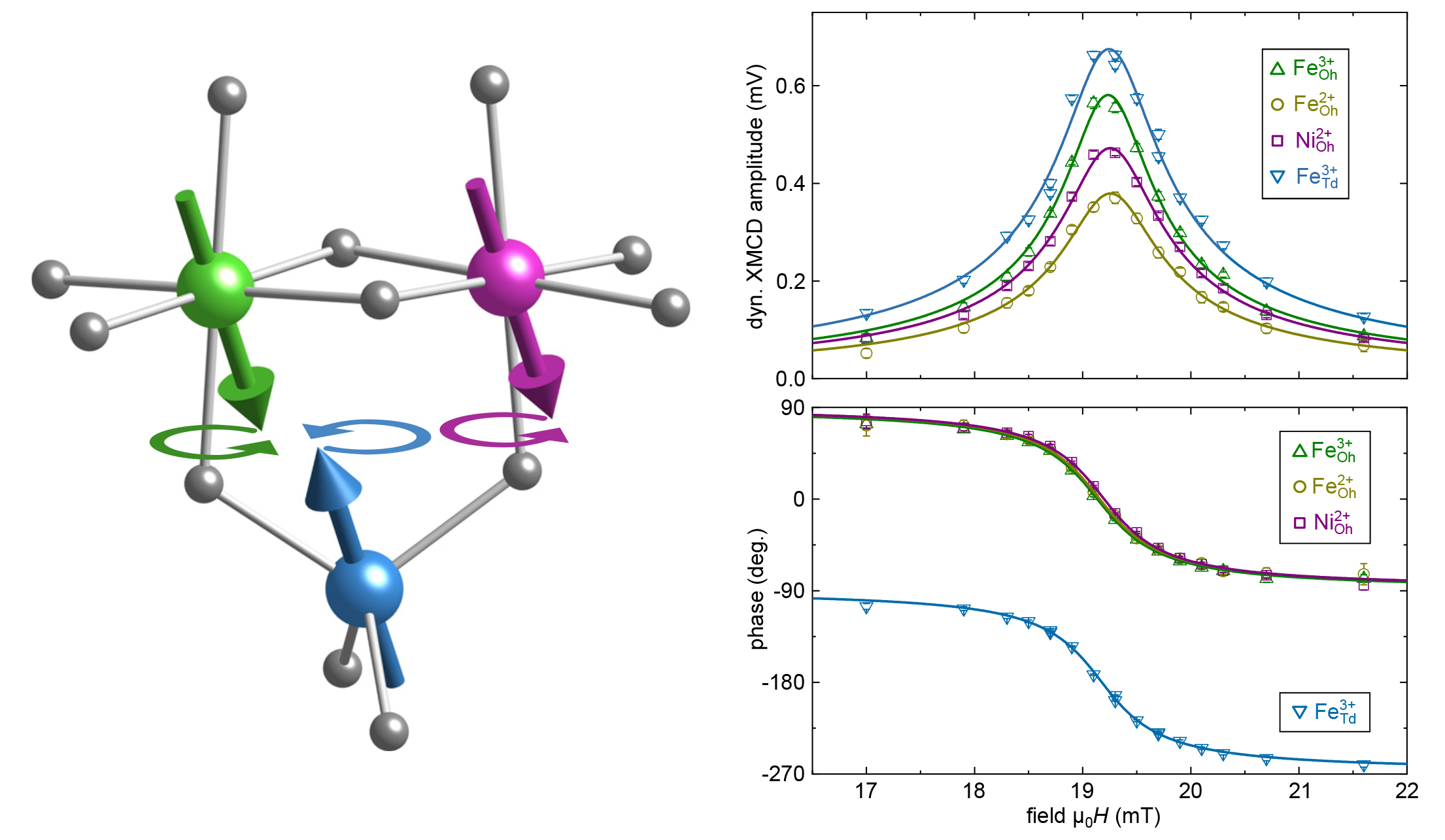 Left: A ball-and-stick depiction of octahedrally coordinated iron and nickel cations and a tetrahedrally coordinated iron cation. Circular arrows depict precession directions. Right: Two graphs as described in the caption.