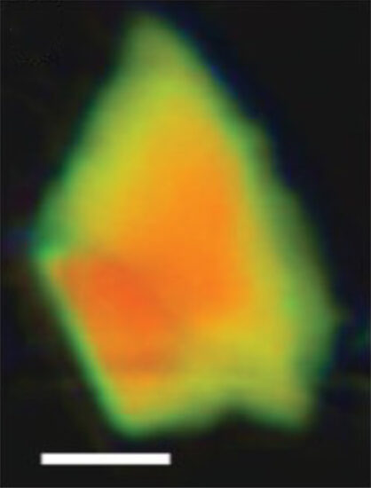 Image of an arrowhead-shaped particle, colored green at the edges and shading to orange in the center.