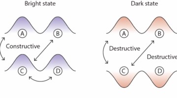 Schematic of bright and dark electronic states.