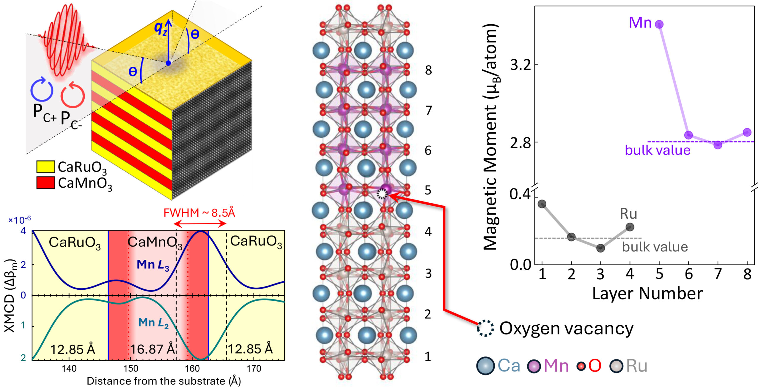 A collage of schematic images and graphs as described in the caption.