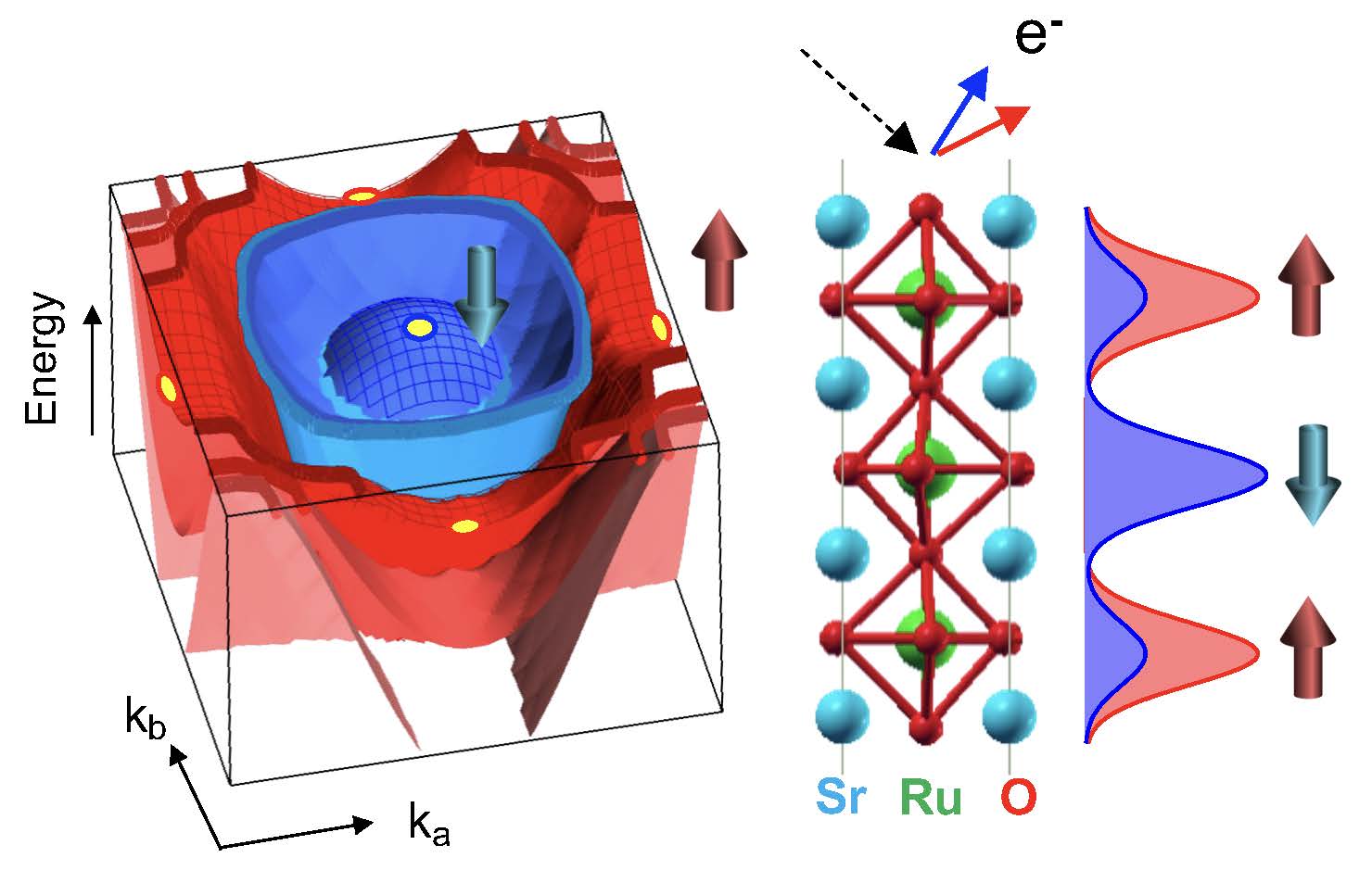 Schematic representation of the spin-polarized electronic band structure of triple-layer strontium ruthenate (Sr4Ru3O10).