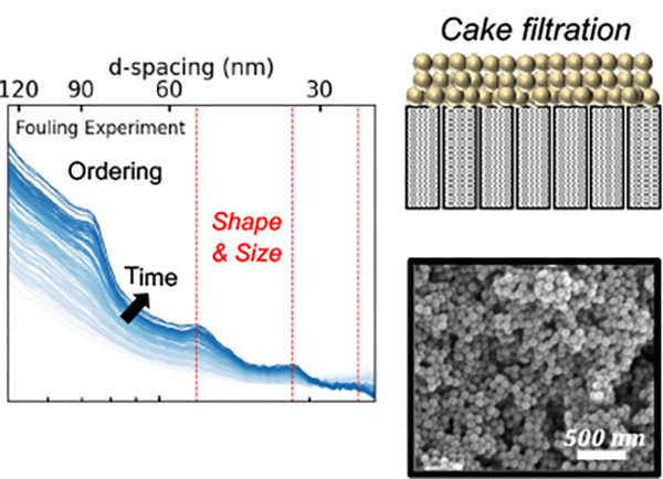 Left: Operando small-angle x-ray scattering results reveal the accumulation of polystyrene nanoparticles on porous ultrafiltration membranes at relevant operational conditions. Top, right: A schematic showing the cake fouling, or closely packed nanoparticles, on the surface of the ultrafiltration membrane. Bottom, right: A scanning electron micrograph of the top surface of the fouled membrane, demonstrating the visible accumulation of particles on the membrane surface. (Credit: Matthew Landsman/ALS, University of Texas, Austin).