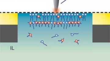 Schematic showing how synchotron light directed at a nanoscale probe can interrogate the electrochemical dynamics of ionic liquids in a functioning electrochemical system.