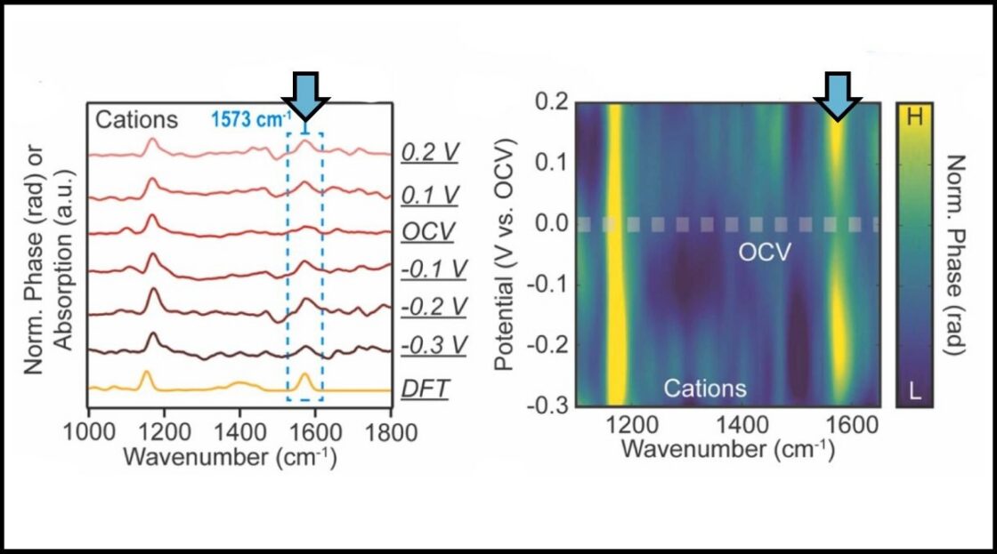 Two plots, one a line graph and one a color map, both showing phase and voltage potential on the x axes and wavenumber on the y axes. Blue arrows point out a peak in absorption and voltage in one area.