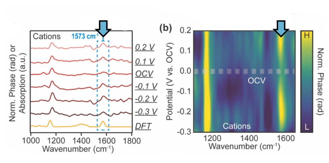 Two plots, one a line graph and one a color map, both showing phase and voltage potential on the x axes and wavenumber on the y axes. Blue arrows point out a peak in absorption and voltage in one area.