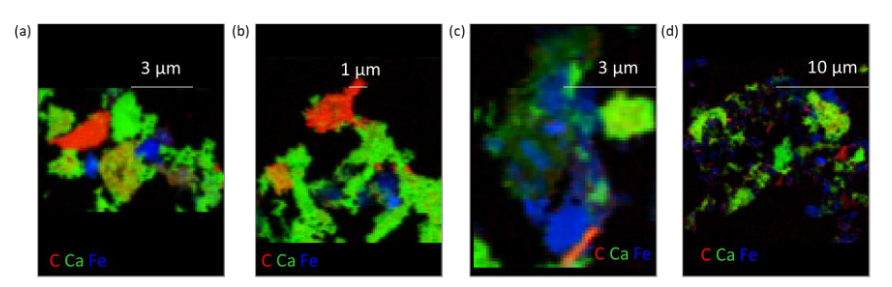 Four black rectangls with tri-color maps of ash samples from tree burns.