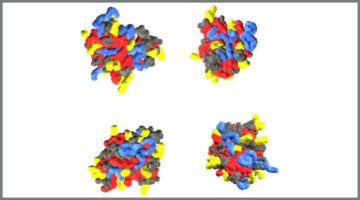 Four panels showing colorful molecular structures.