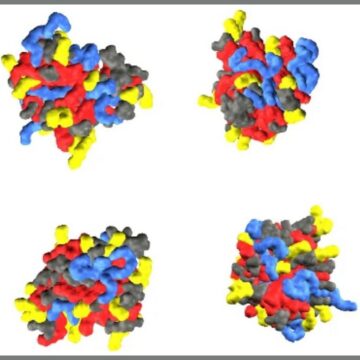 Four panels showing colorful molecular structures.