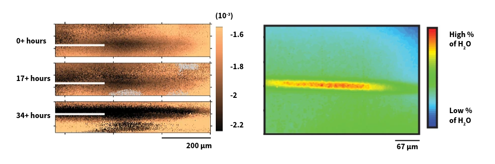 Left Panel: Visualizations showing spatial patterns over time, displaying different intensity distributions across three time points. Right panel: A bright, elongated horizontal feature with intense yellow and red coloring set against a muted blue and green background.