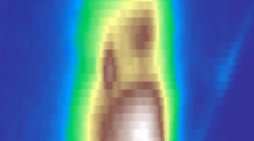 Data organized in diferent colors.